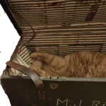 Malle militaire en cours de rénovation, avec l'aide du chat Titou